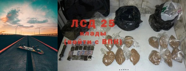 мяу мяу мука Беломорск