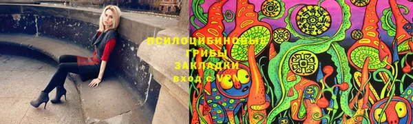 MDMA Белокуриха