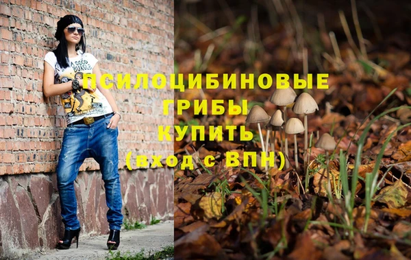 мяу мяу мука Беломорск