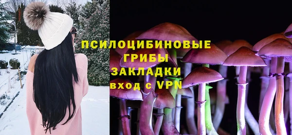 эйфоретик Белоозёрский